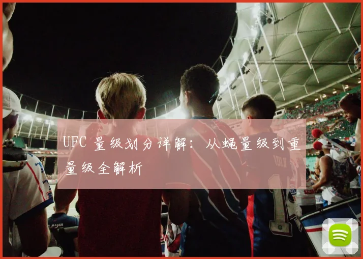 UFC 量级划分详解:从蝇量级到重量级全解析
