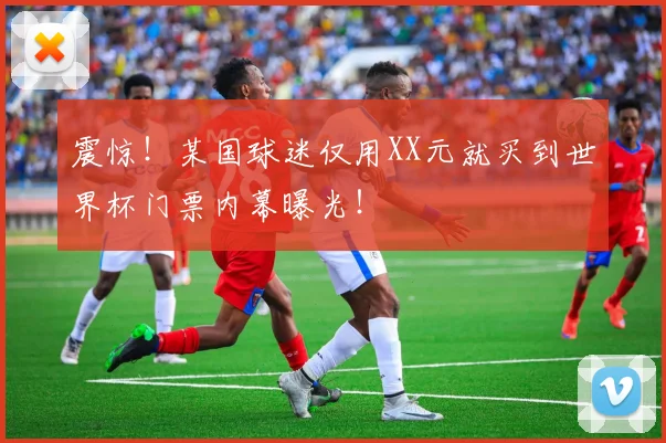 震惊！某国球迷仅用XX元就买到世界杯门票内幕曝光！