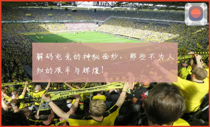 解码电竞的神秘面纱，那些不为人知的艰辛与辉煌！