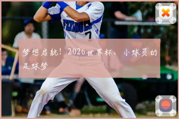 梦想启航!2026世界杯,小球员的足球梦