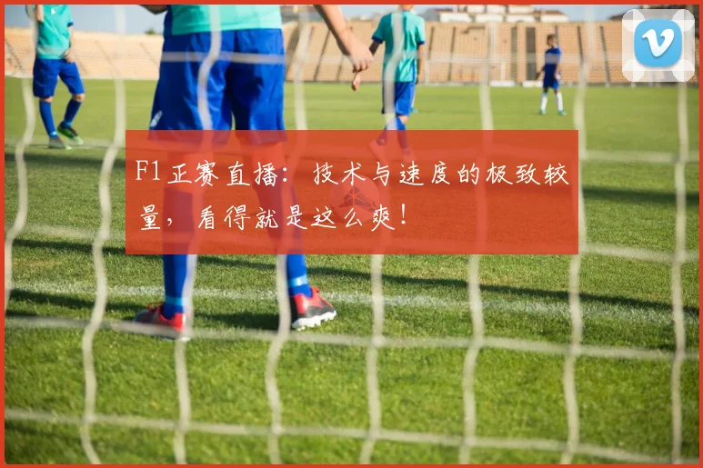 F1正赛直播：技术与速度的极致较量，看得就是这么爽！